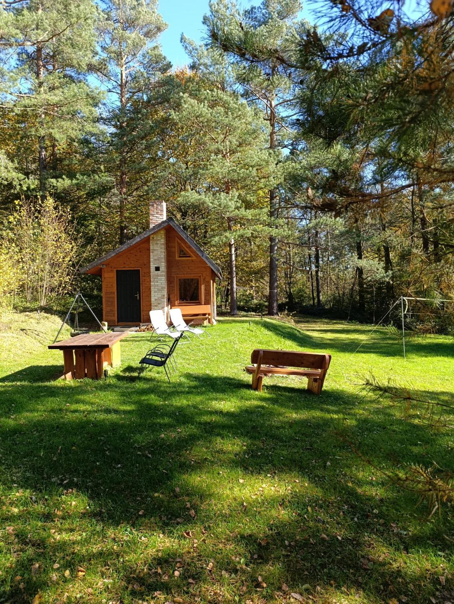Survivalowa Chata W Lesie Bukowsko Exterior foto